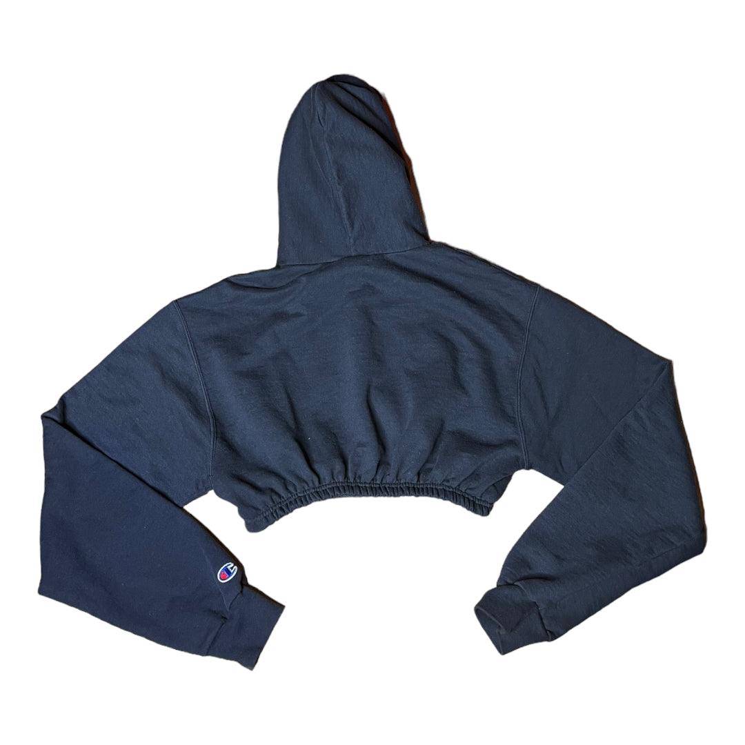 Brandeis University Reworked Crop Hoodie