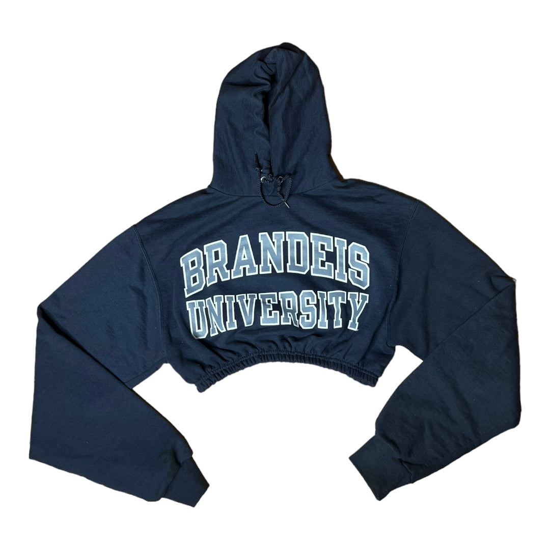 Brandeis University Reworked Crop Hoodie