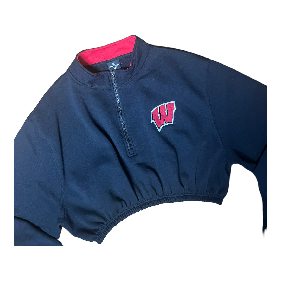 The University of Wisconsin Reworked Crop Sweatshirt