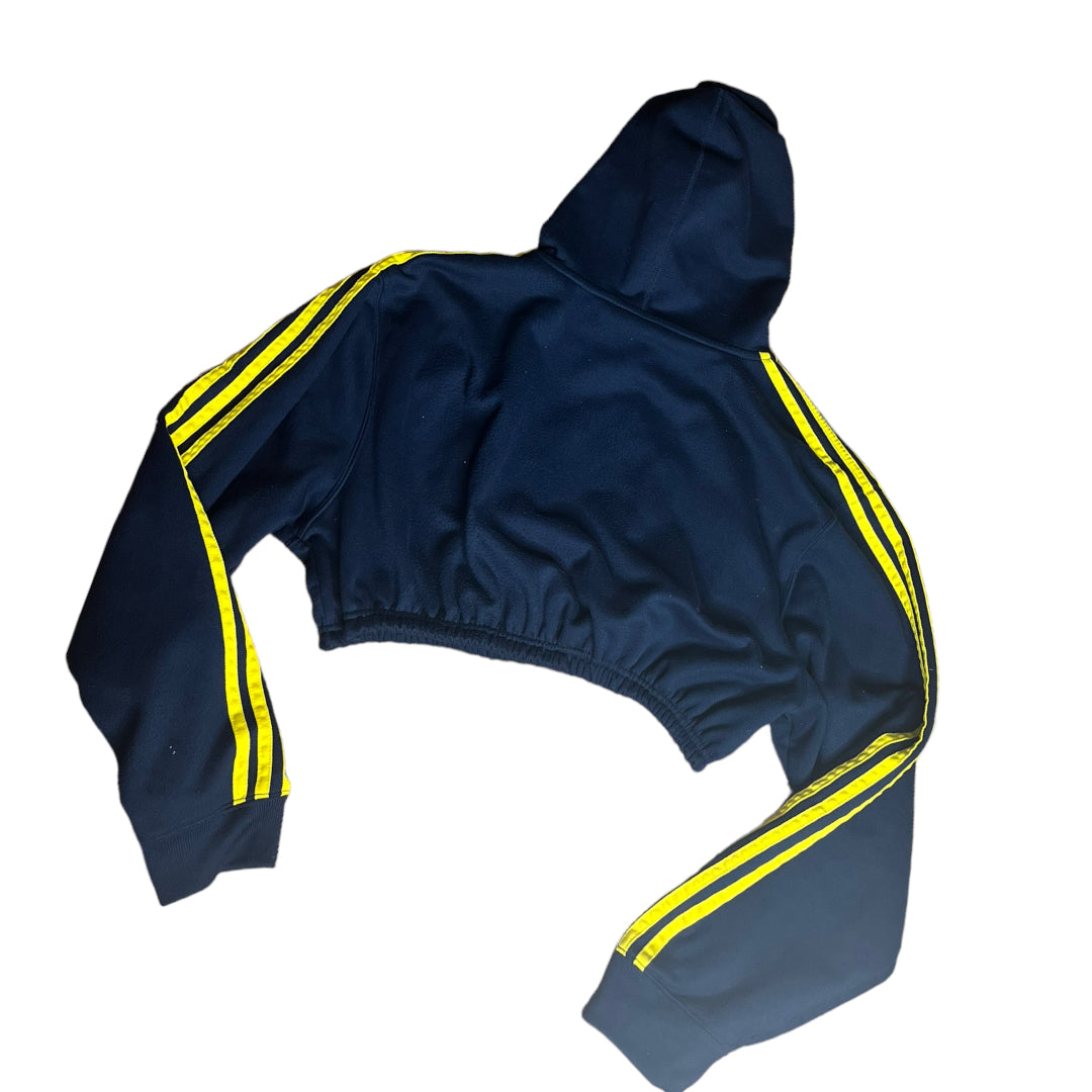 University of Michigan Reworked Crop Hoodie