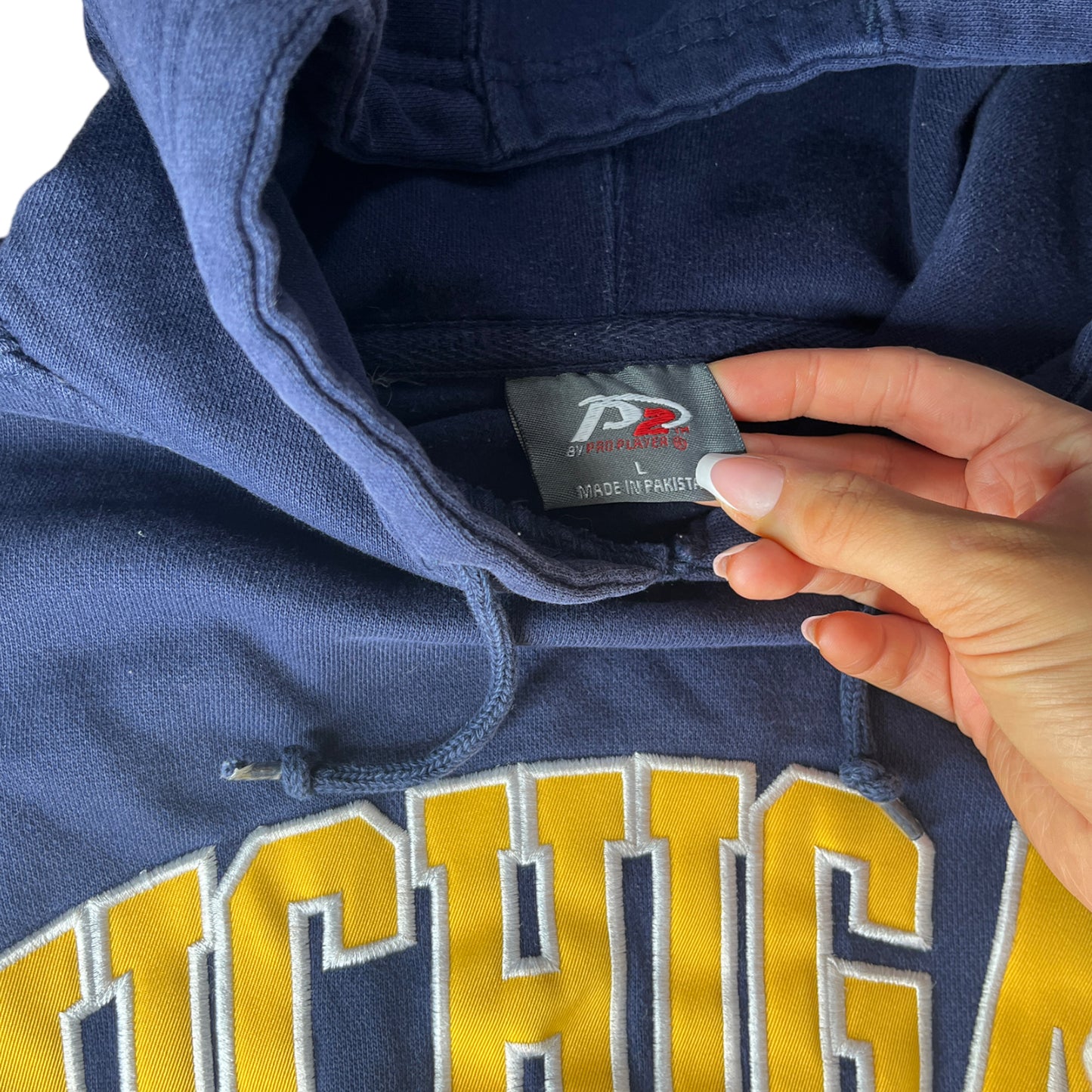 University of Michigan Reworked Crop Hoodie