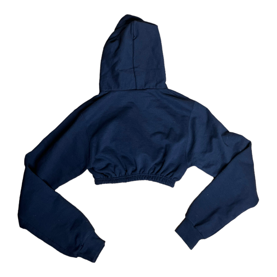 Brandeis University Reworked Crop Hoodie