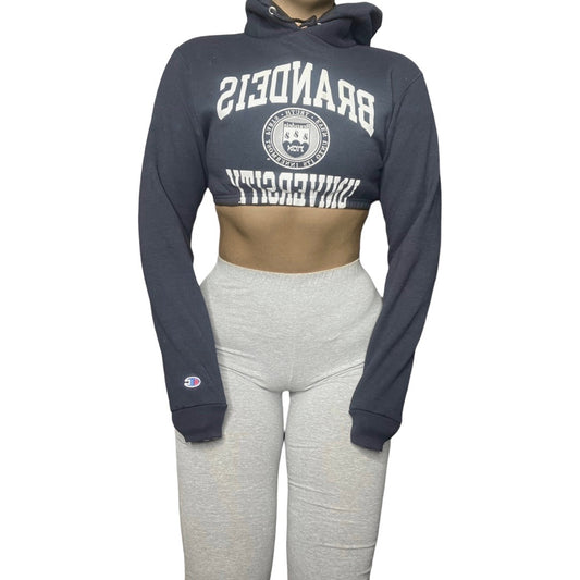 Brandeis University Reworked Crop Hoodie