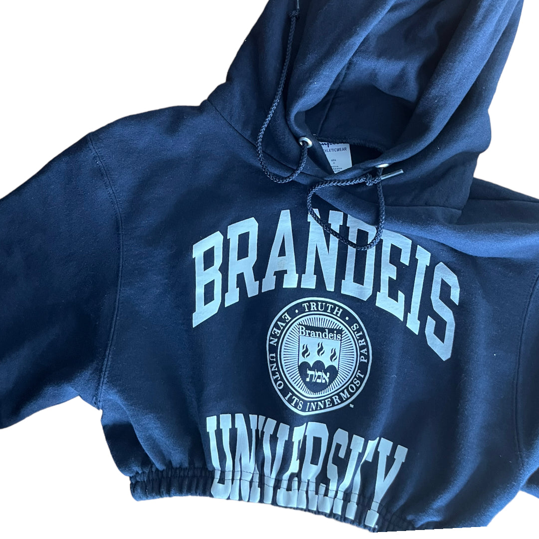 Brandeis University Reworked Crop Hoodie