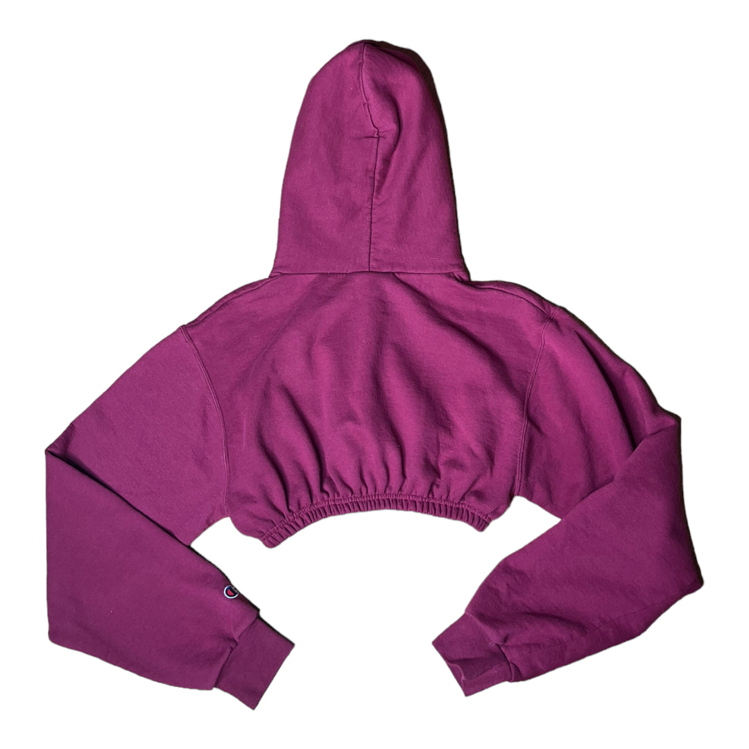 Umass Amherst Reworked Crop Hoodie