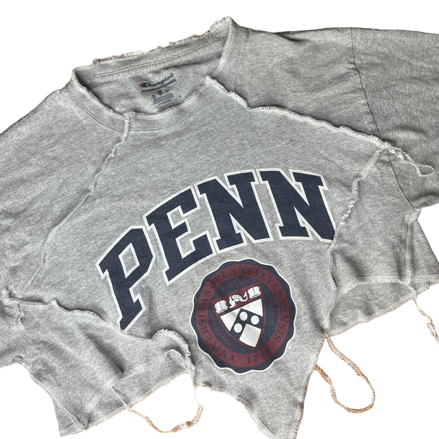 University of Pennsylvania Reworked Contrast Stitch V cut Crop Top