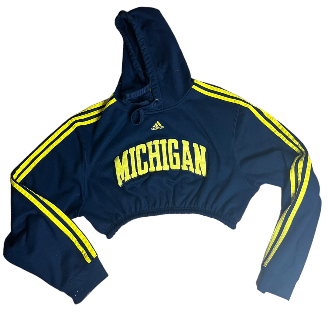 University of Michigan Reworked Crop Hoodie