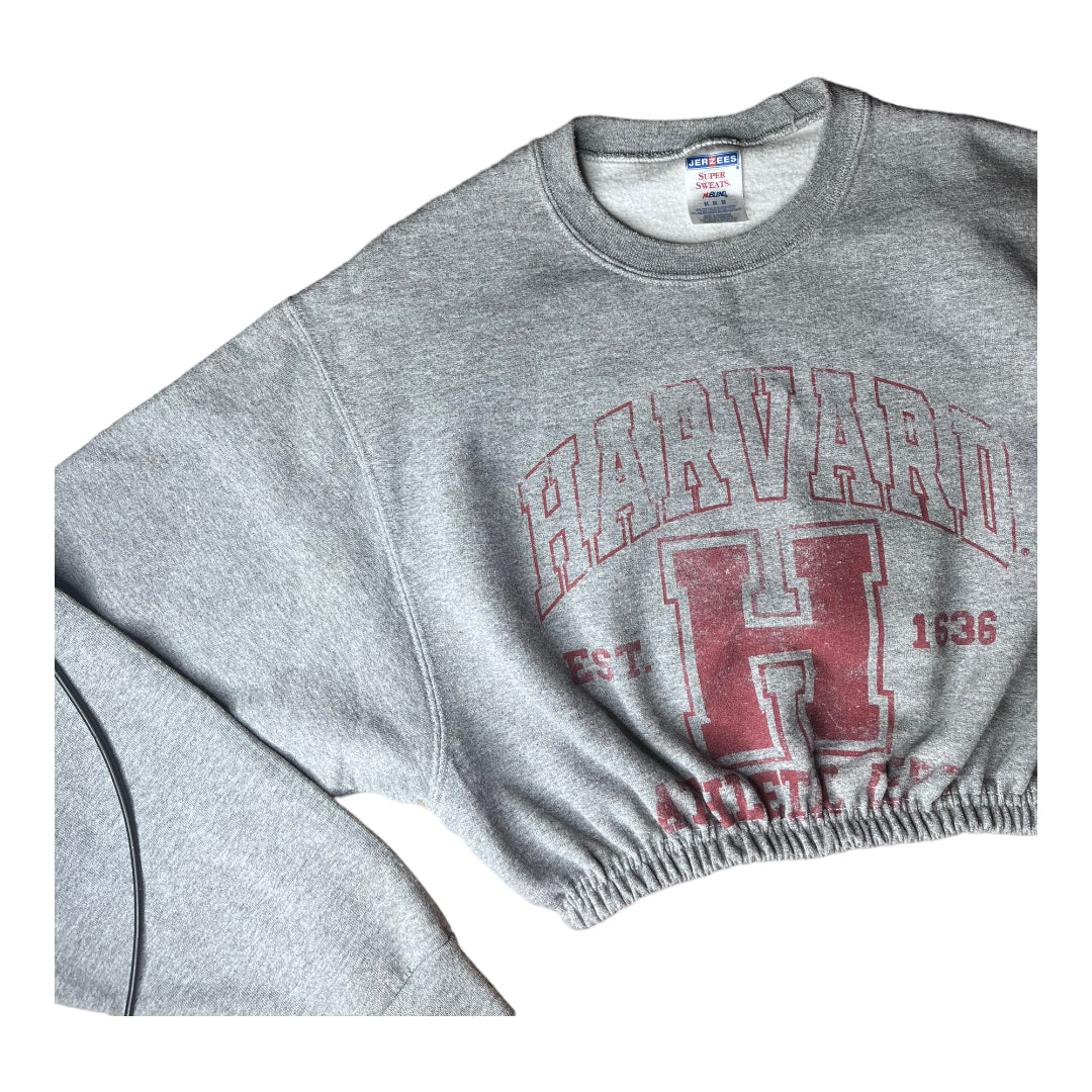 Harvard University Reworked Crop Crewneck