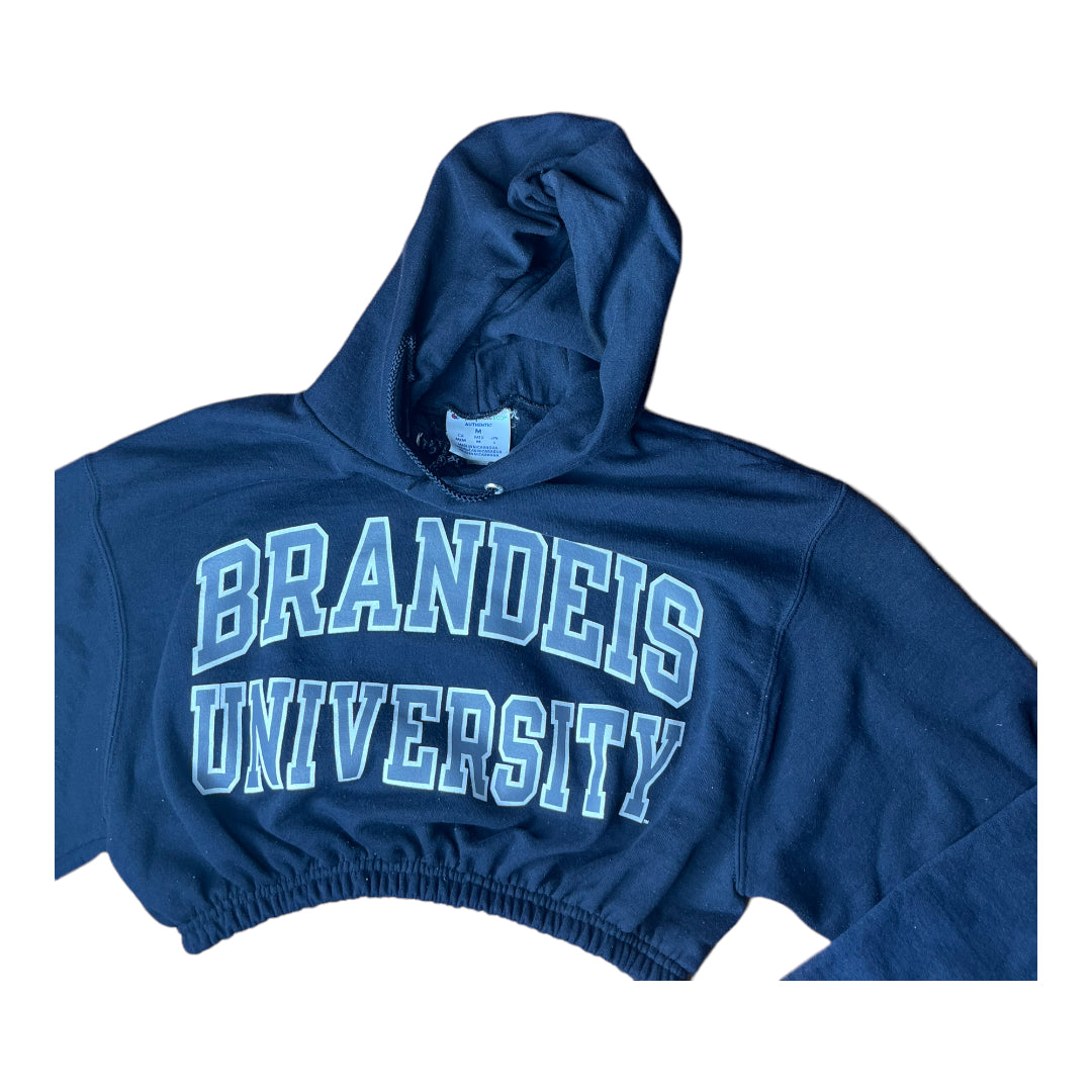 Brandeis University Reworked Crop Hoodie