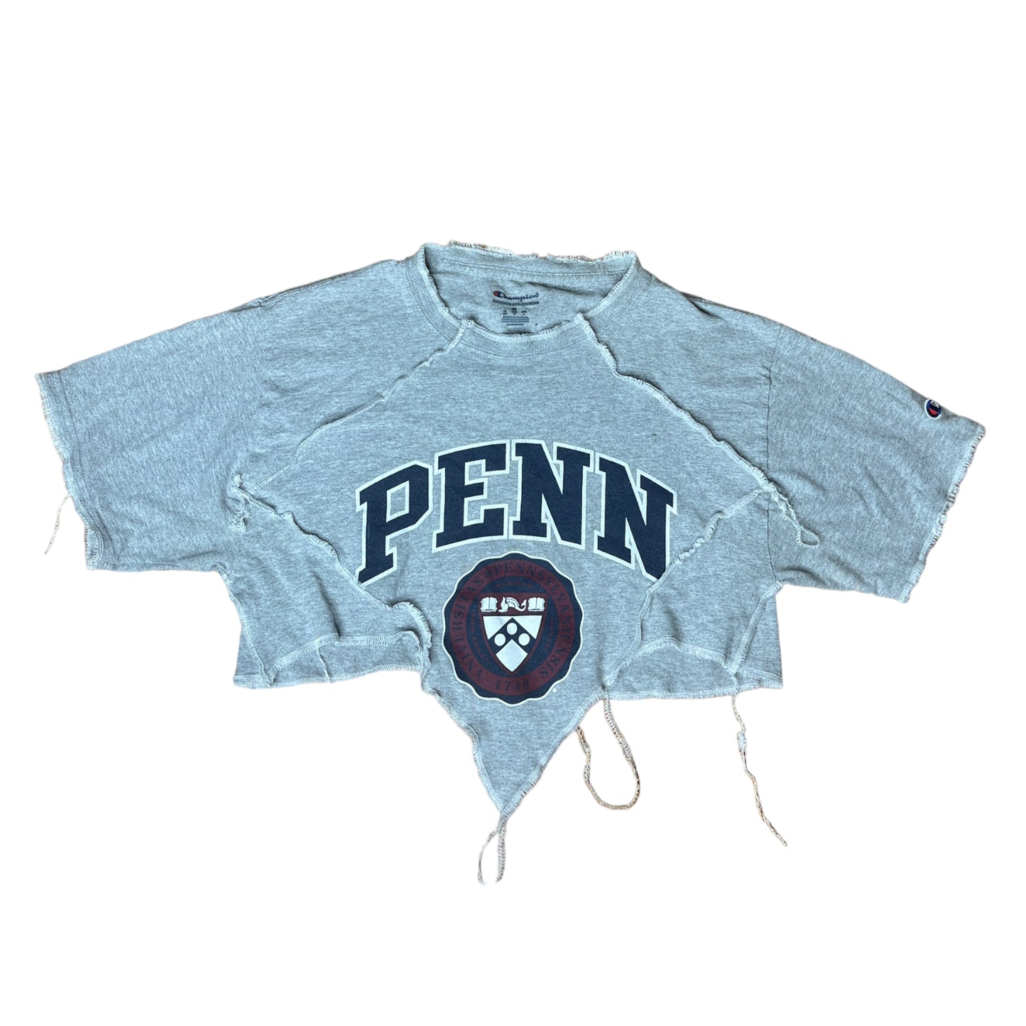 University of Pennsylvania Reworked Contrast Stitch V cut Crop Top