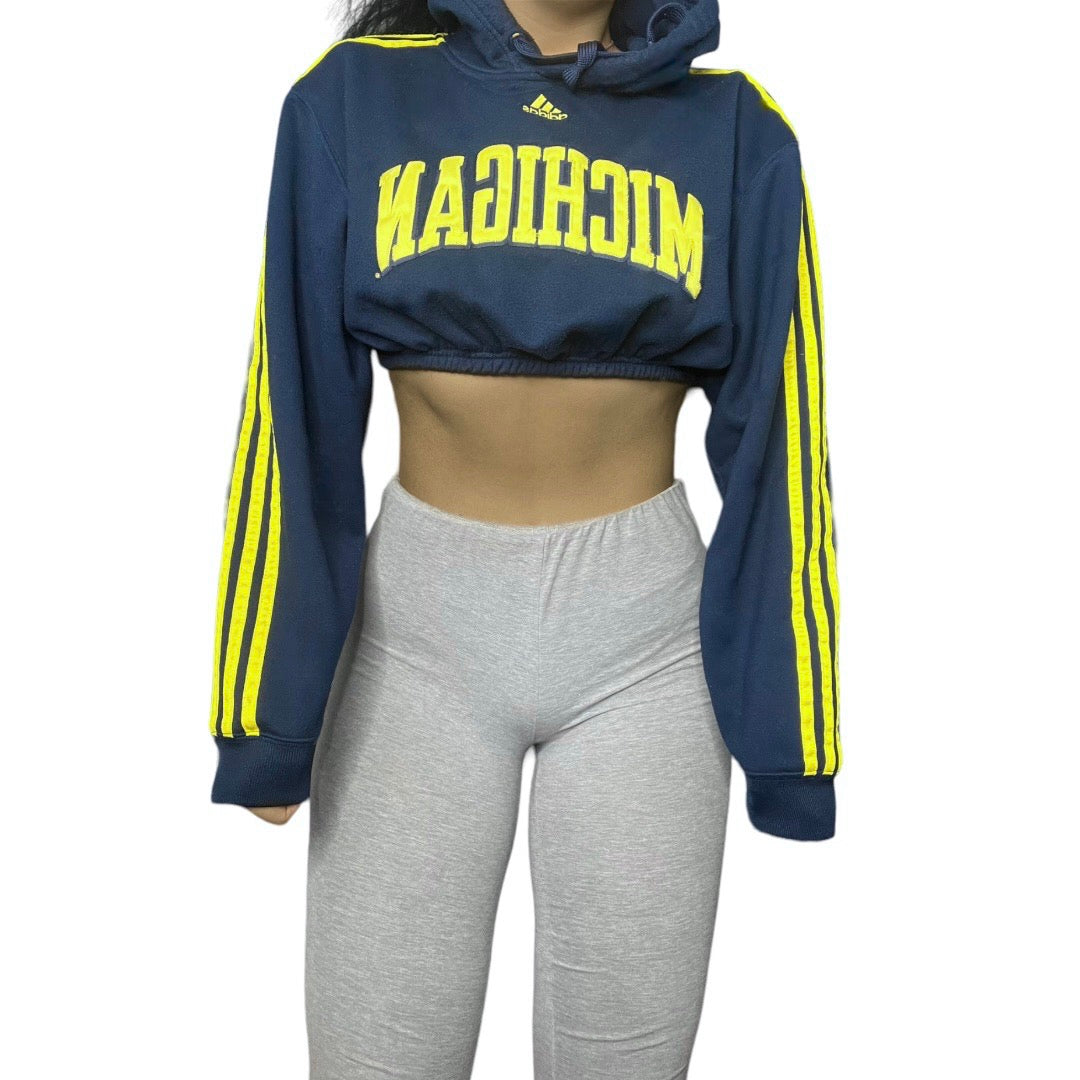 University of Michigan Reworked Crop Hoodie