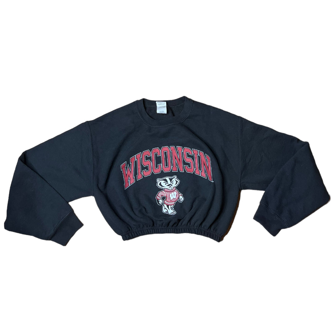 The University of Wisconsin Reworked Crop Crewneck