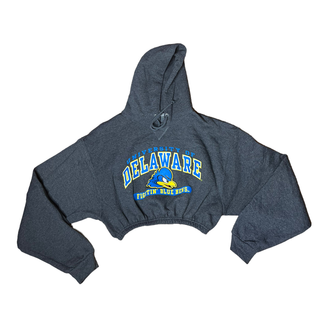 University of Delaware Reworked Crop Hoodie