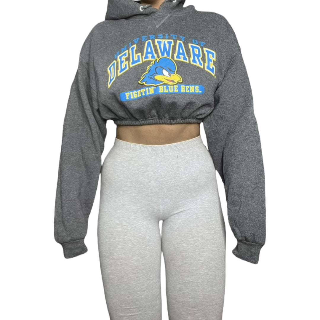 University of Delaware Reworked Crop Hoodie