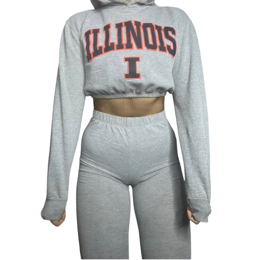 University of Illinois Reworked Crop Hoodie