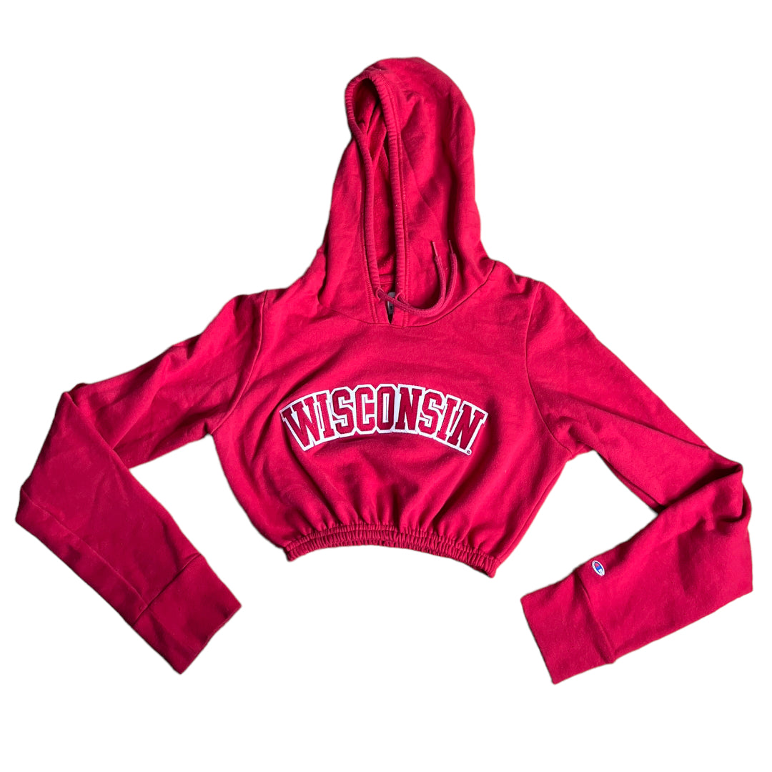 University of Wisconsin Reworked Crop Hoodie