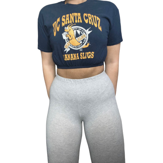 UC Santa Cruz Reworked Crop Top