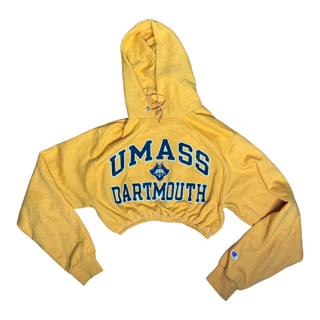 Umass Dartmouth Reworked Crop Hoodie