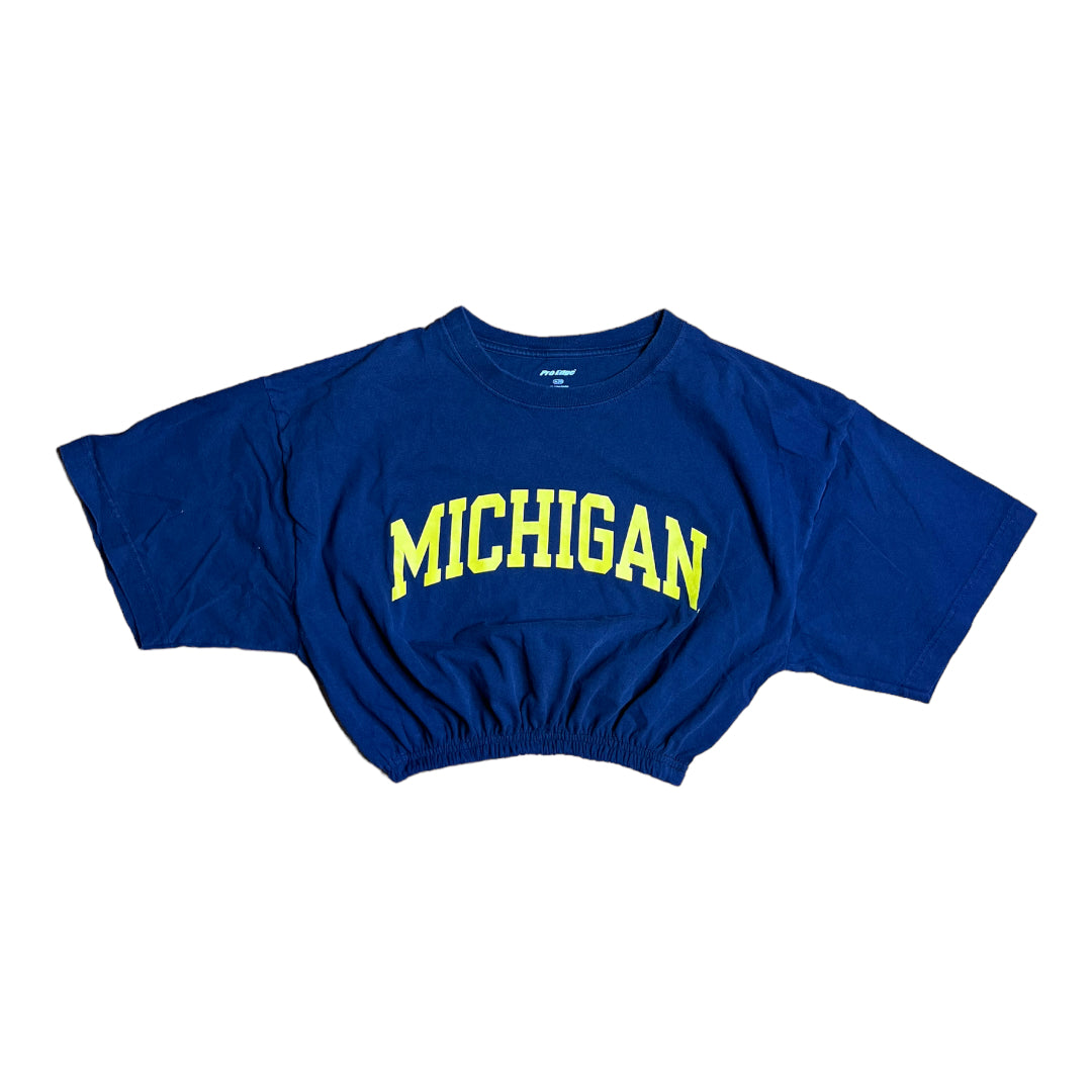 University of Michigan Reworked Crop Top