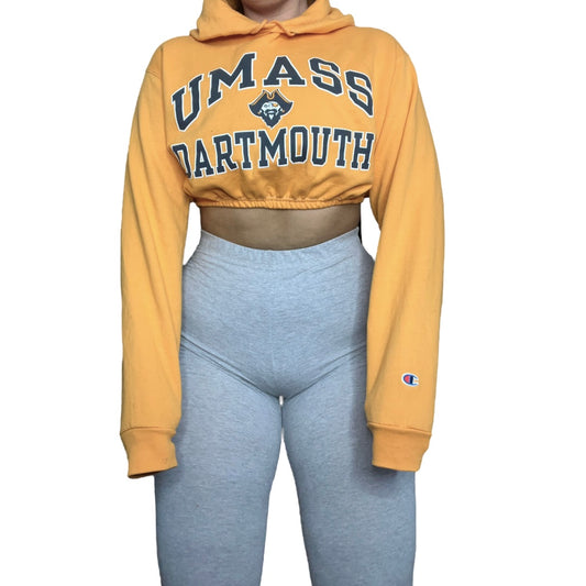 Umass Dartmouth Reworked Crop Hoodie