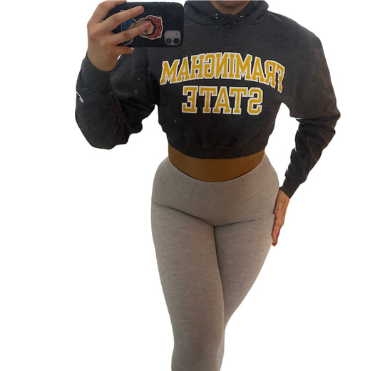 Framingham State University Reworked Crop Hoodie