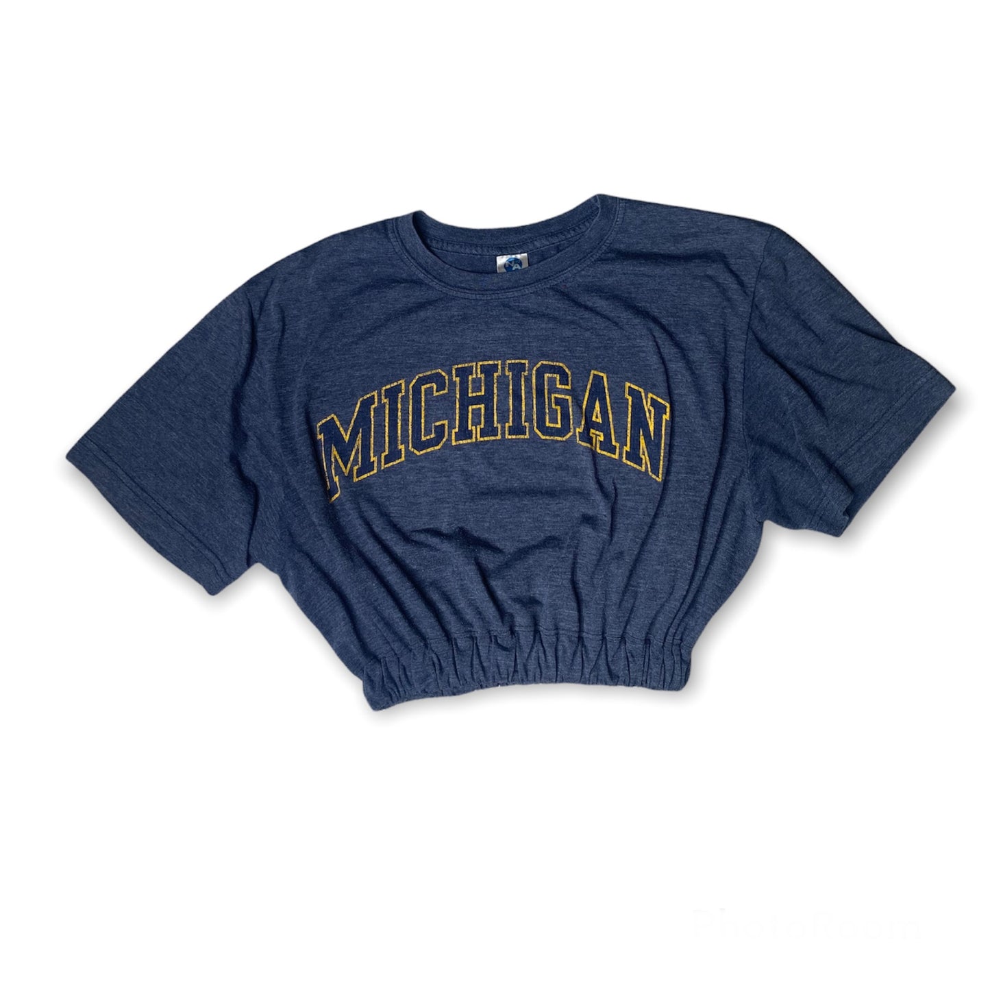 University of Michigan Reworked Crop Top