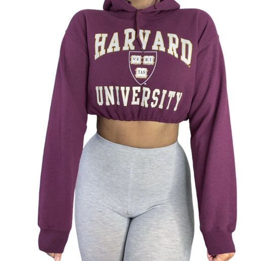 Harvard University Reworked Crop Hoodie Sweatshirt