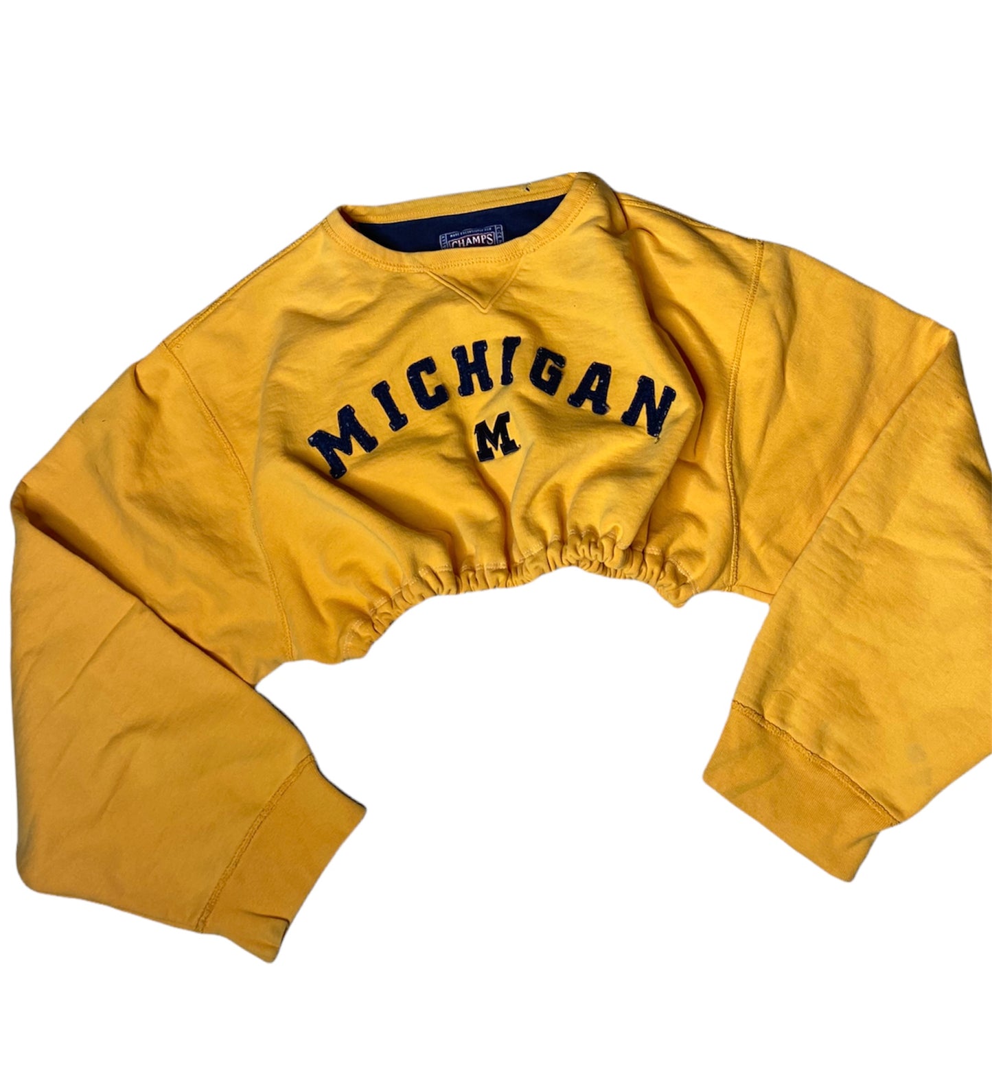 University of Michigan Reworked Crop Crewneck