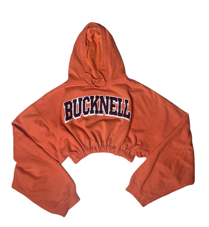 Vintage Bucknell Reworked Crop Hoodie