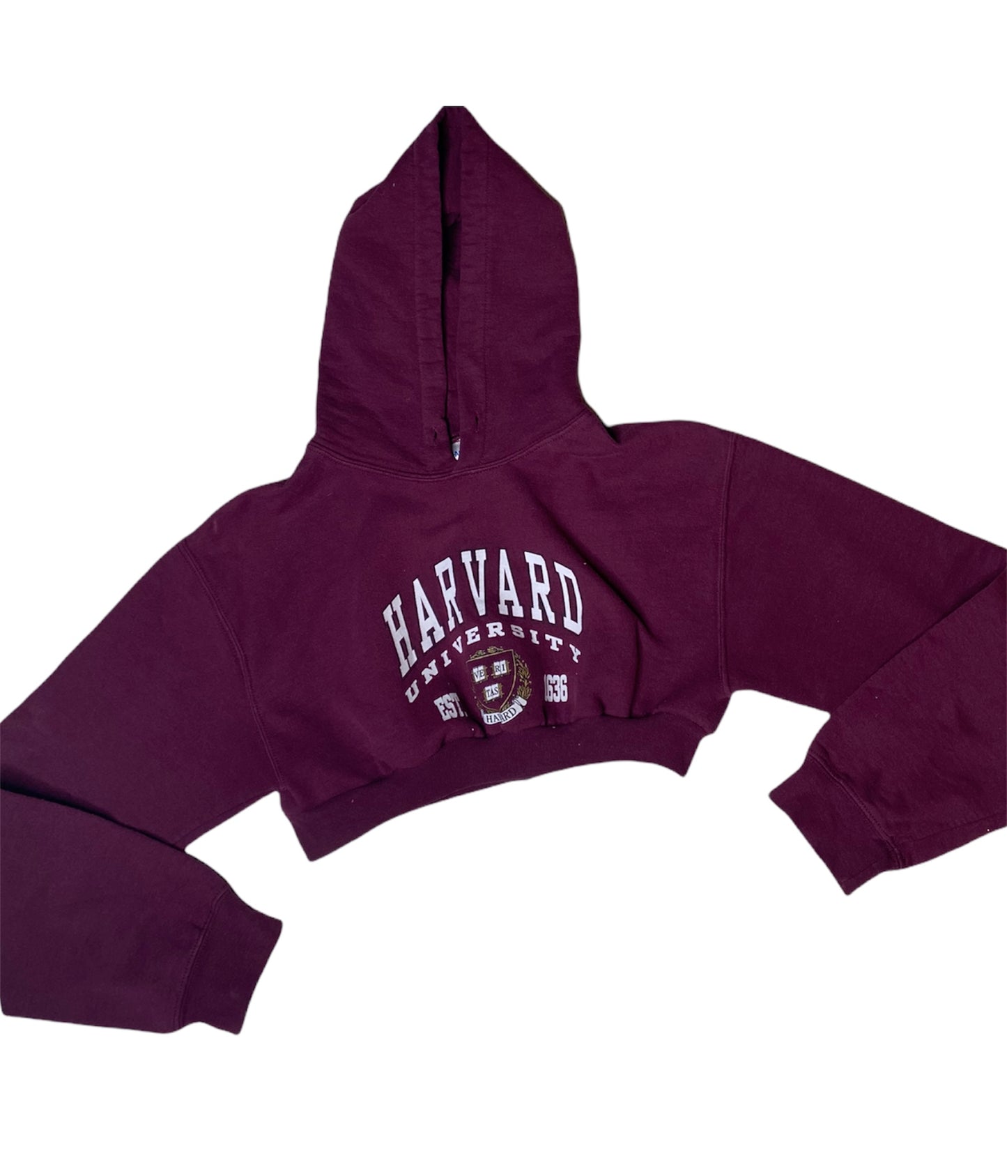 Harvard Reworked Crop Hoodie