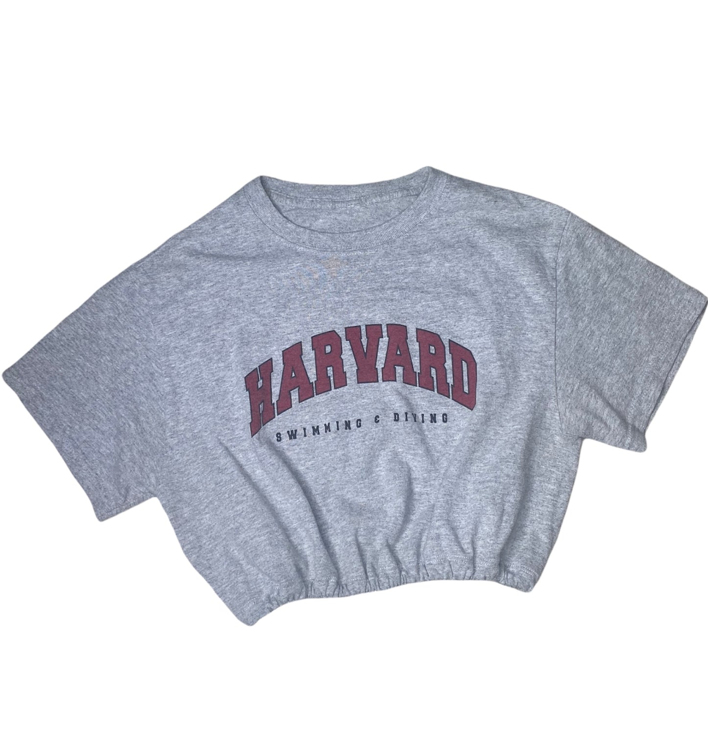 Harvard Vintage Crop Top