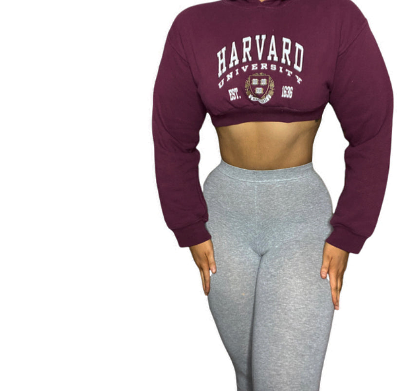 Harvard Reworked Crop Hoodie