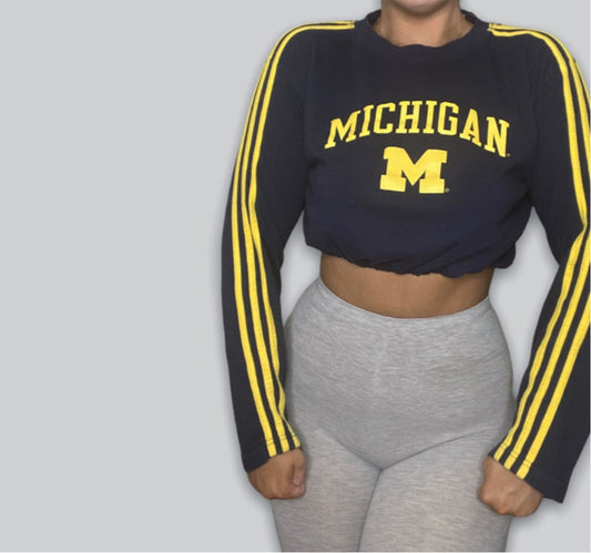 University of Michigan Reworked Crop Longsleeve Top