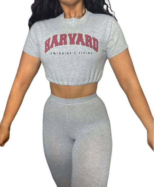 Harvard Vintage Crop Top