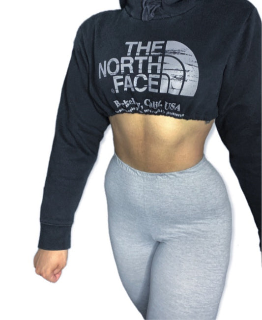 TheNorthFace Reworked Crop Hoodie