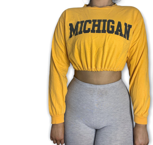 University of Michigan Reworked Crop Top