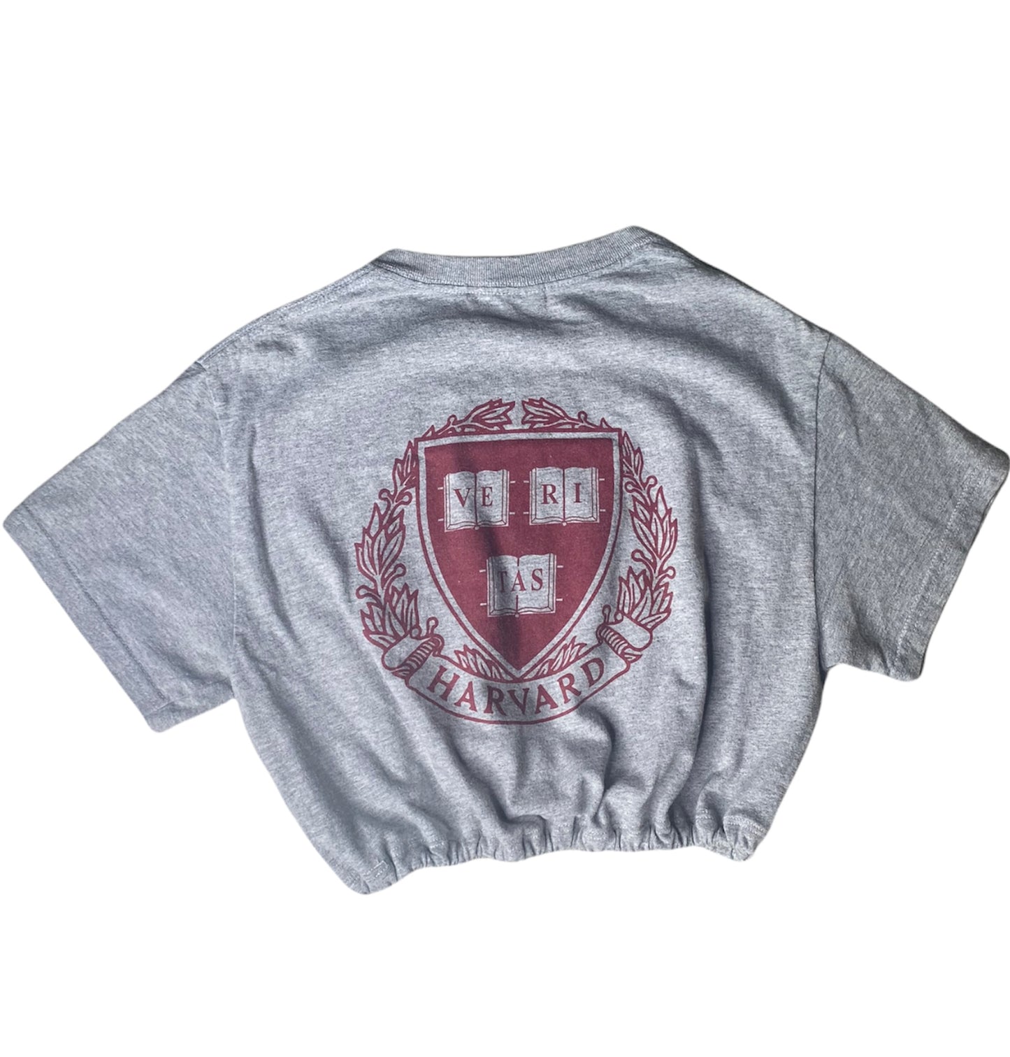 Harvard Vintage Crop Top