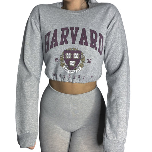 Harvard University Reworked College Crewneck Crop