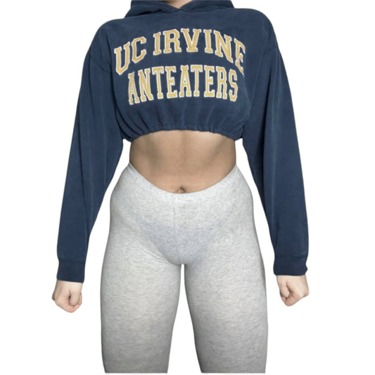 University of California Irvine Reworked Crop Hoodie