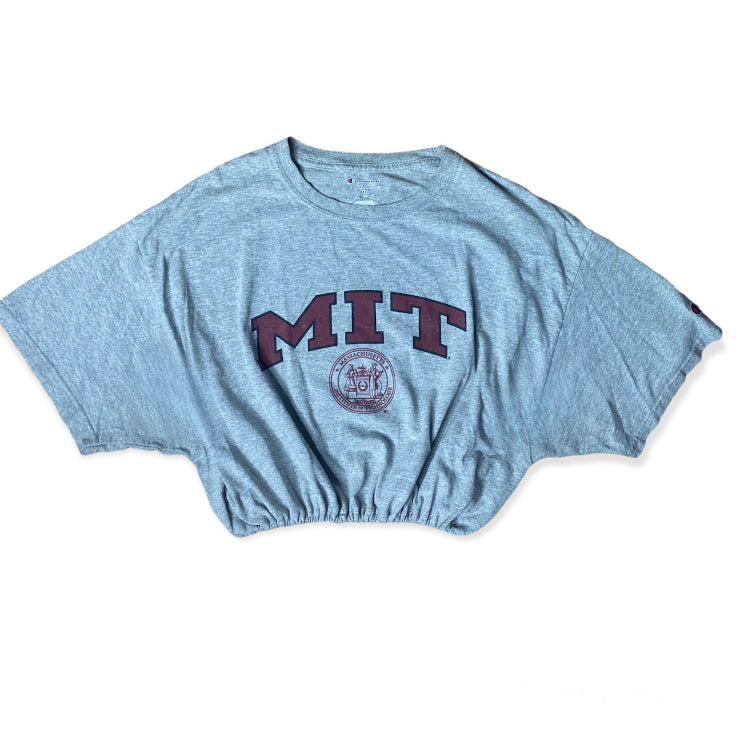 Massachusetts Institute of Technology Reworked Crop Top