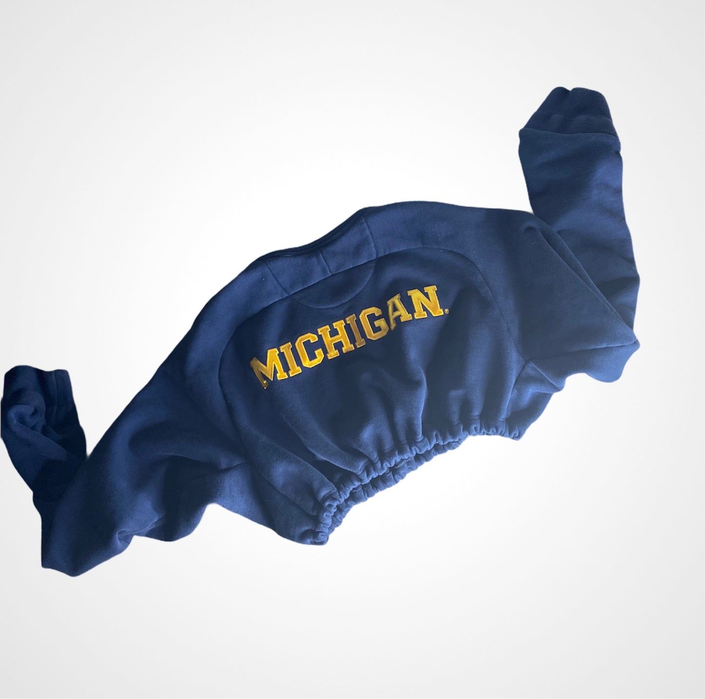 JORDAN University of Michigan Reworked Crop Crewneck Sweatshirt