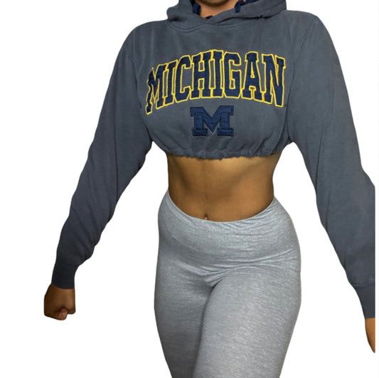 University Of Michigan Reworked Crop Hoodie