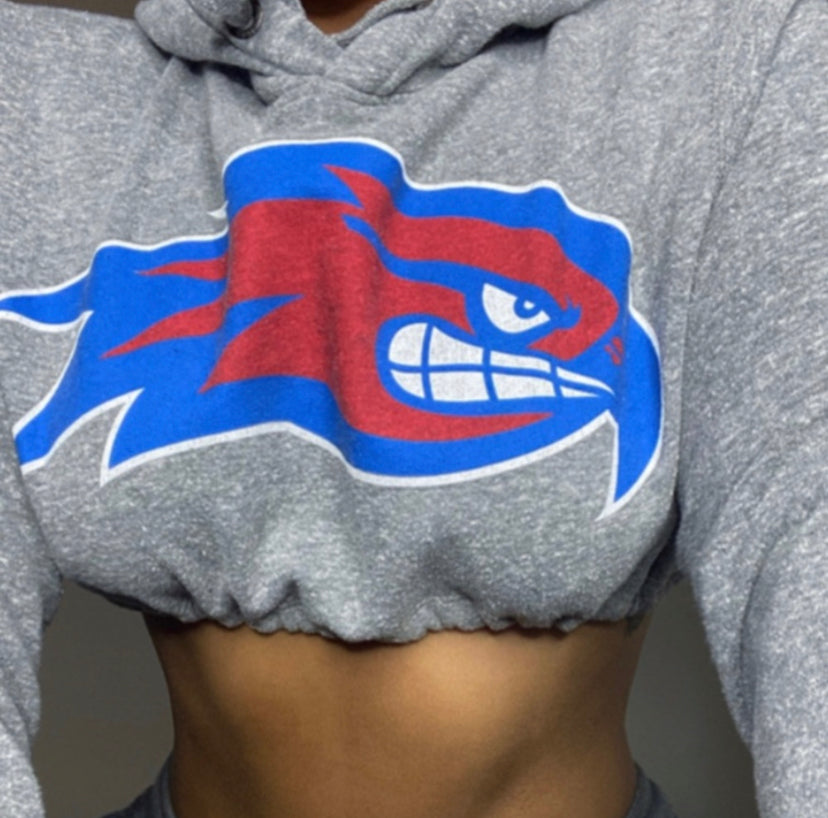 UML Reworked Crop Logo Hoodie