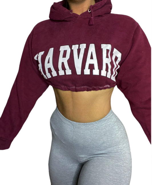 HARVARD Reworked Crop Hoodie