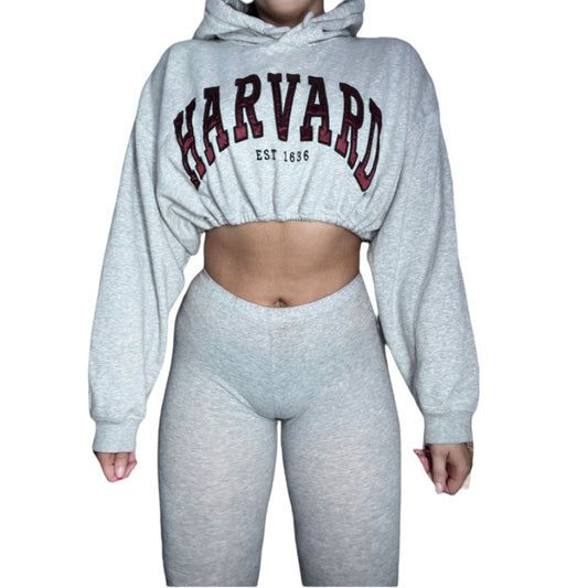 Harvard University Reworked Crop Hoodie