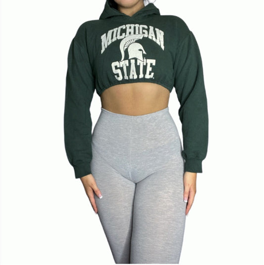 Michigan State University Reworked Crop Hodie