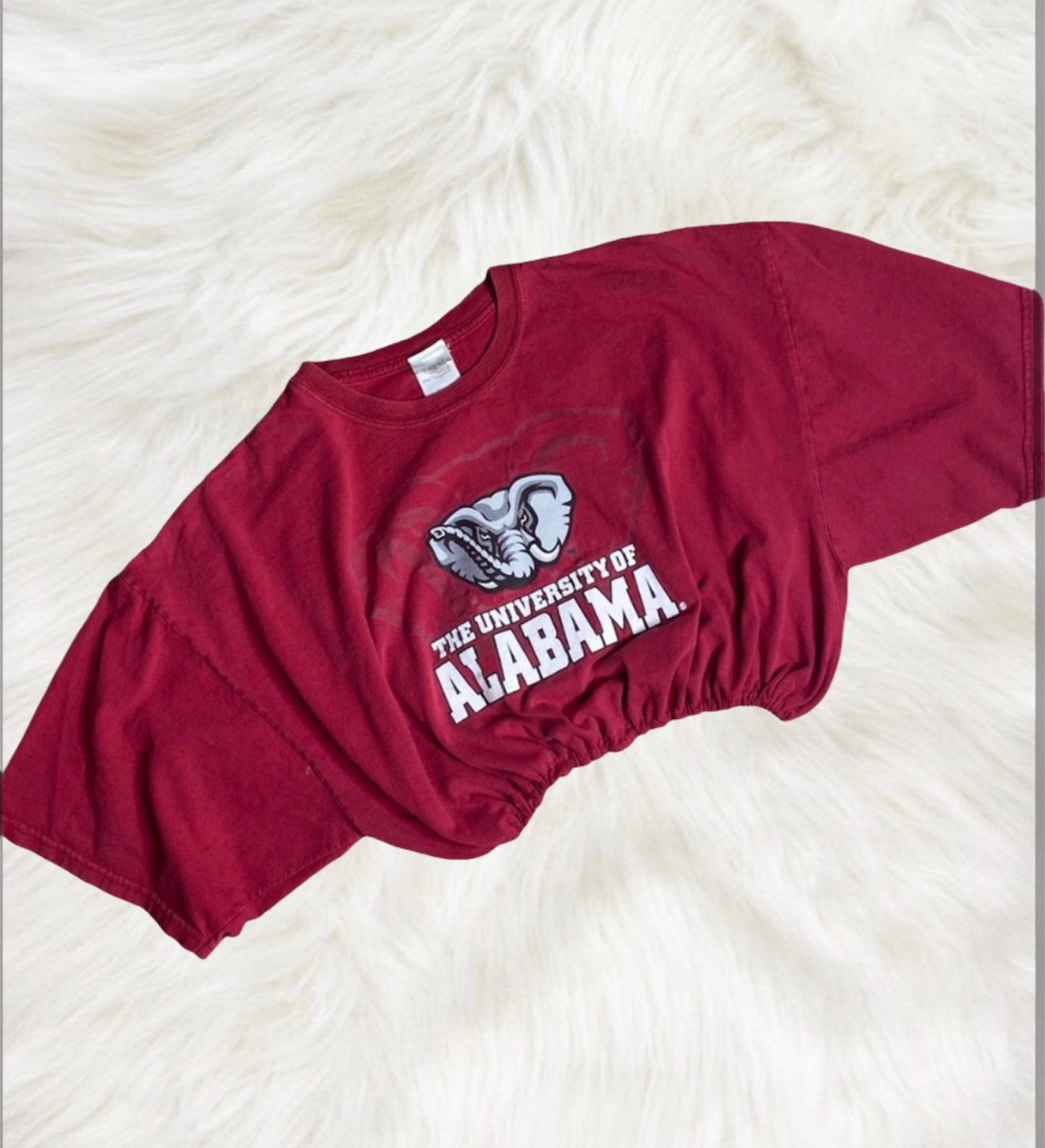 The University of Alabama Reworked Crop Top