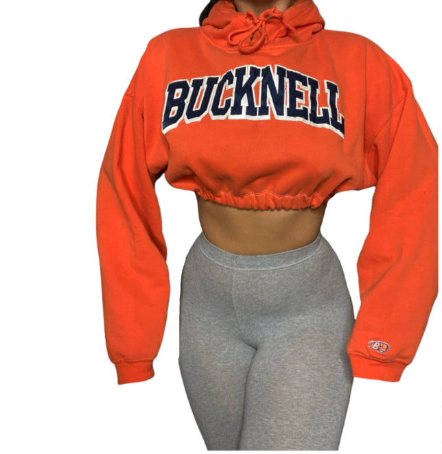 Vintage Bucknell Reworked Crop Hoodie