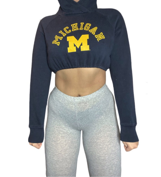 University of Michigan Reworked Crop Hoodie