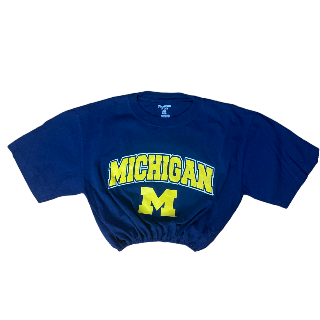 University of Michigan Reworked Crop Top